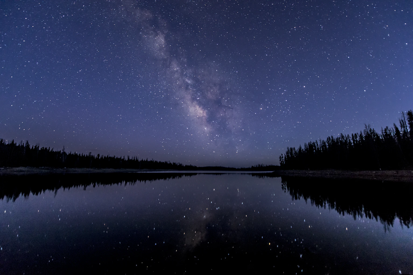 A beautiful night sky filled with stars.