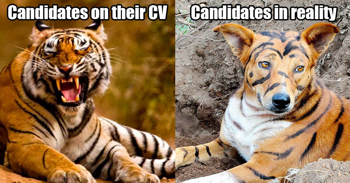 Candidate on their CV vs Candidate in reality