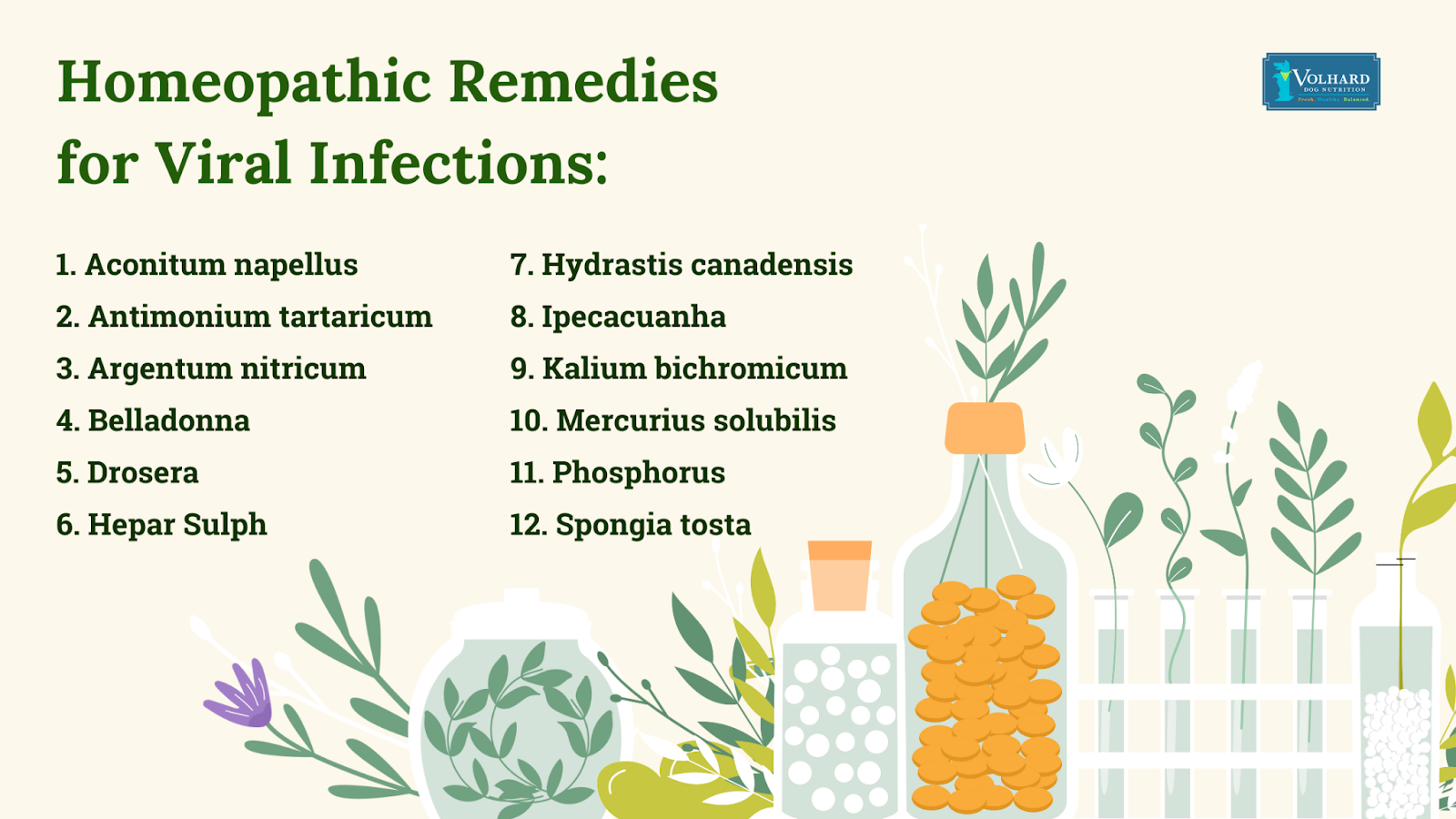 Homeopathic remedies for viral infections
