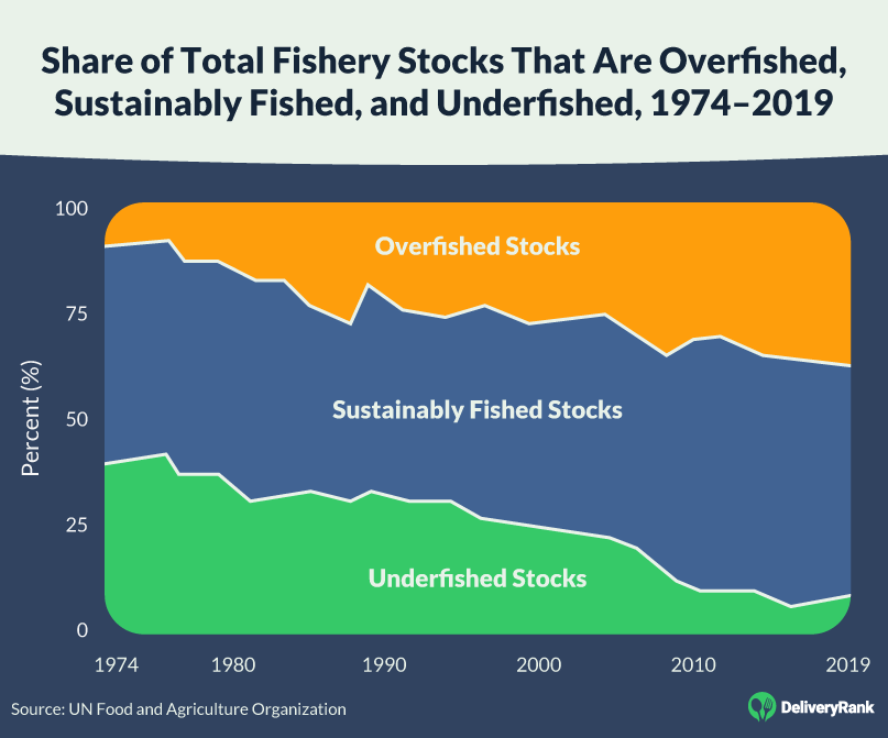 Overfishing: Impacts, Causes, and How You Can Help