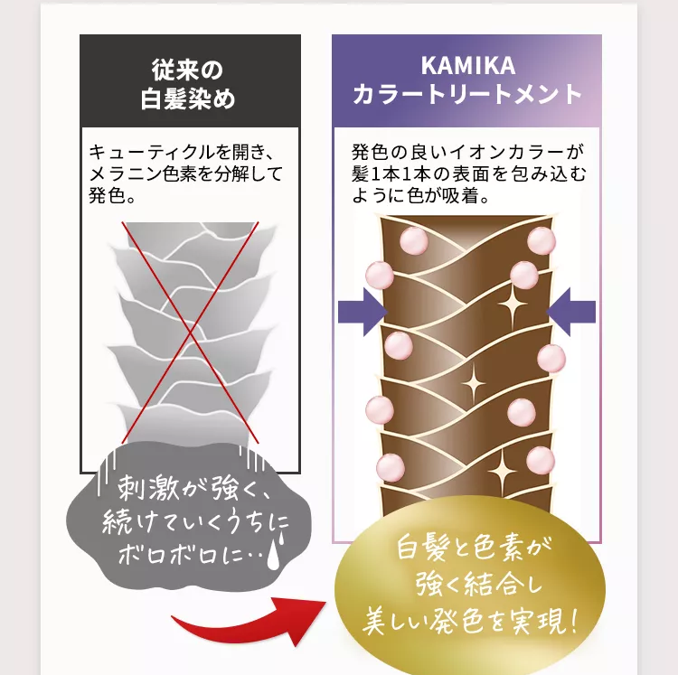 KAMIKA(カミカ)白髪染めカラートリートメント