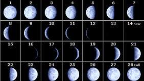 Image result for each phase of the moon