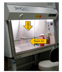 Text Box: Biosafety cabinet. Source: Berkeley Lab EHS. 