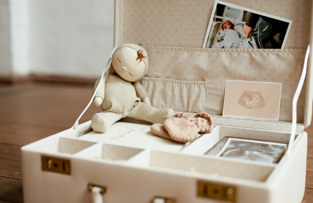 A stuffed toy in a suitcase

Description automatically generated