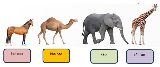 A camel and elephant walking

Description automatically generated