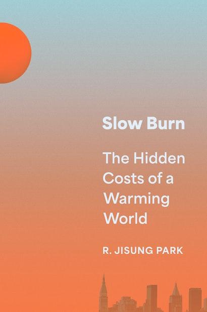 Slow burn book cover