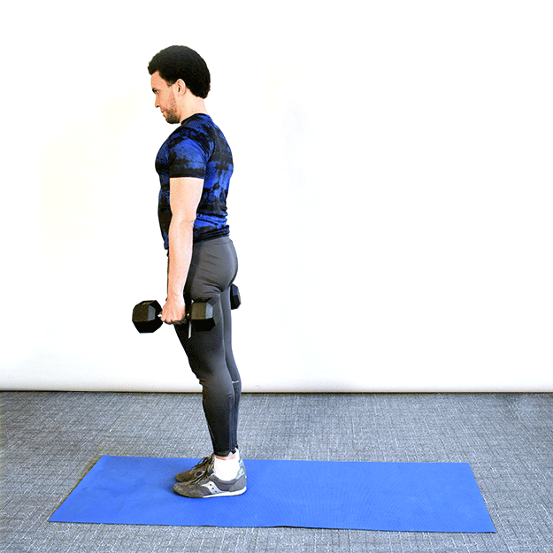 dumbbell reverse lunges