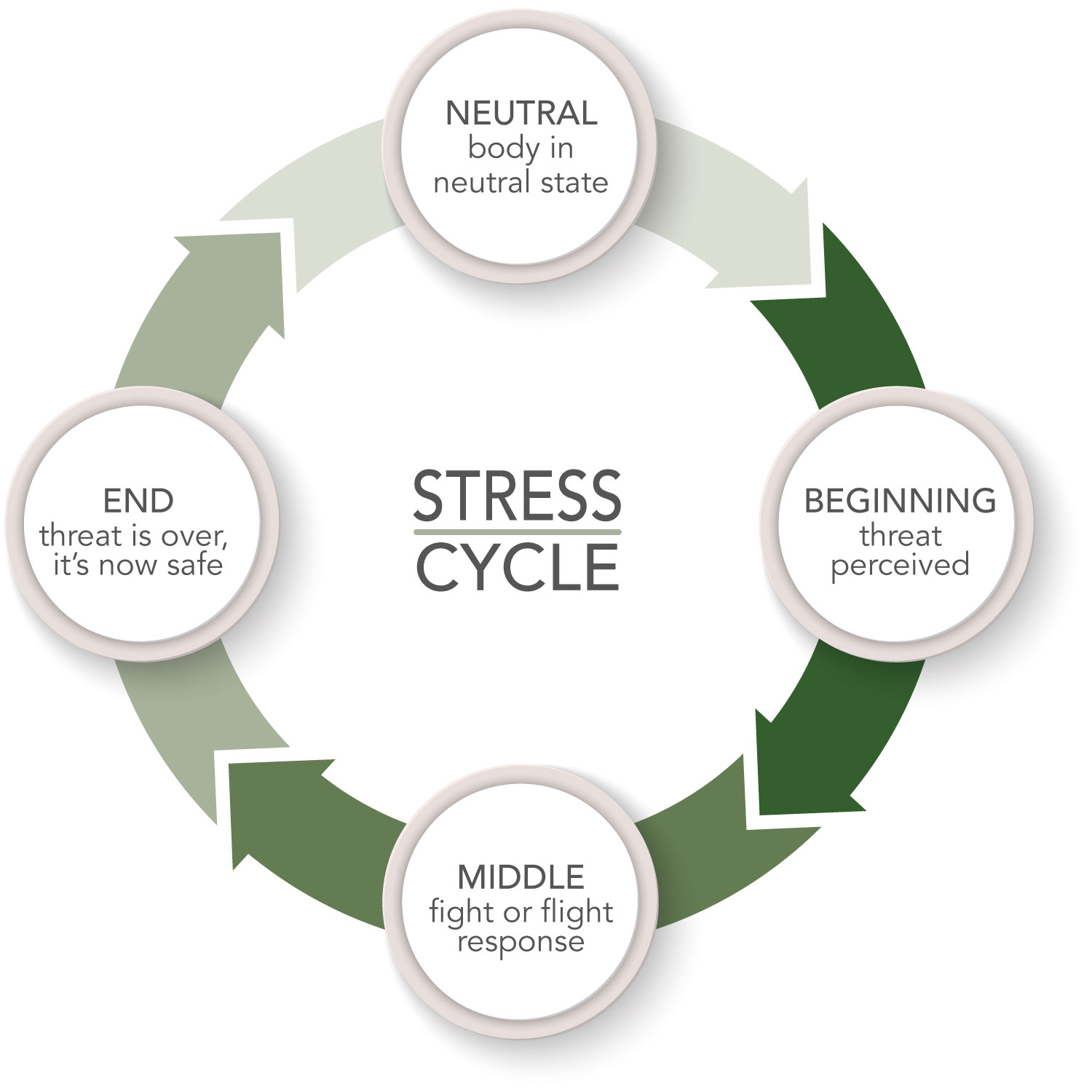 Stress Management – Resolving the Cycle of Stress -