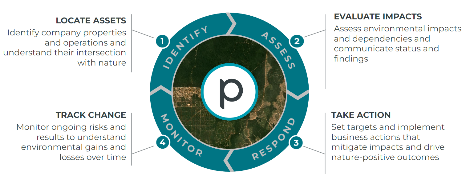 Figure 1: Planet data can help with all stages of sustainability reporting.