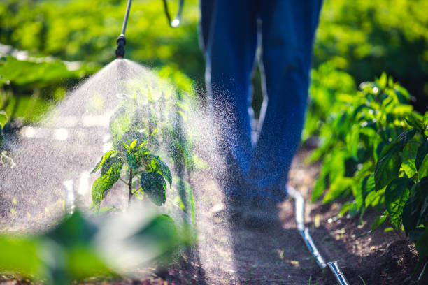 Professional in a protective suit sprays a targeted gopher removal solution.