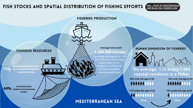 FAO State of Mediterranean and Black Sea Fisheries 2022 – In figure, fish stocks and spatial distribution of fishing efforts in the Mediterranean Sea