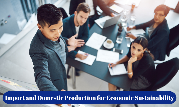 Balancing Import and Domestic Production for Economic Sustainability