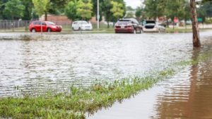 flooded parking lot with grass and cars