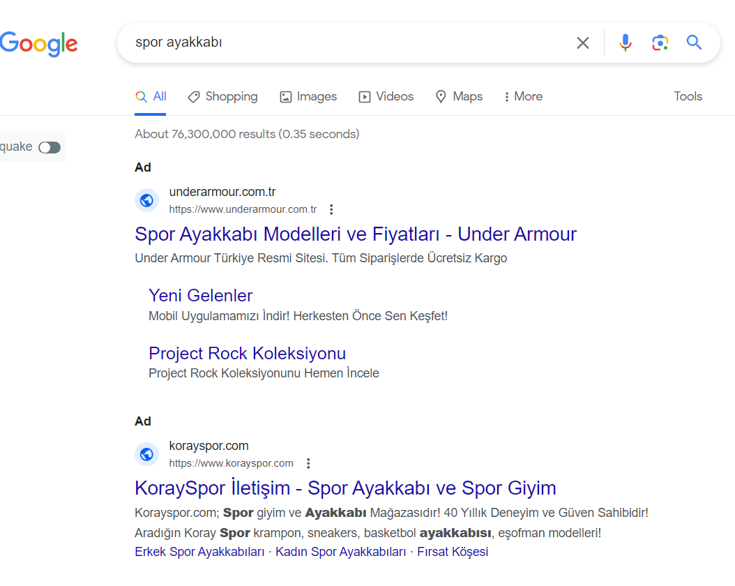 seo arama örneği