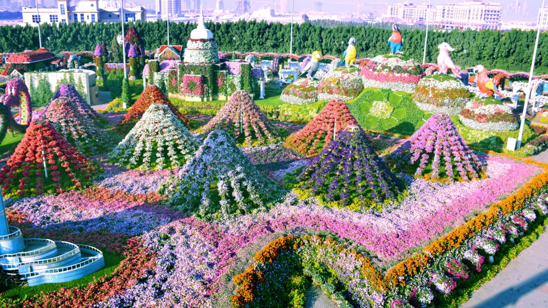 Enchanted Eden Garden Glow