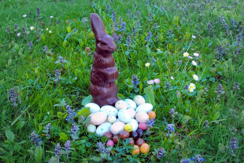 Chocolate bunny and eggs in grass

Description automatically generated