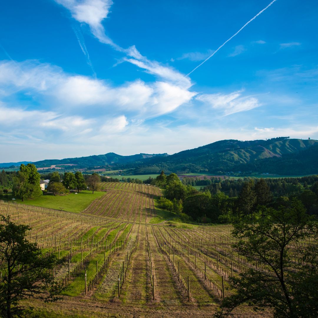 Willamette Valley, Oregon