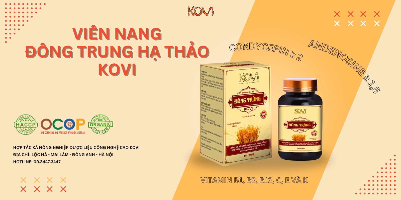 Viên nang đông trùng hạ thảo