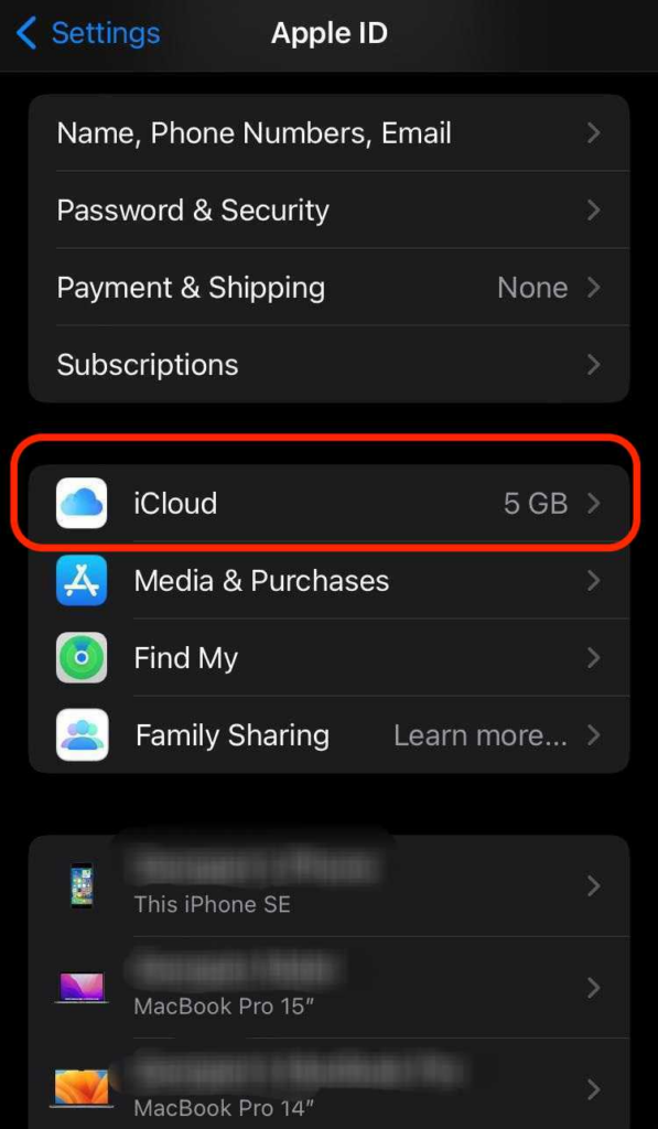 captura de pantalla de los ajustes del iPhone con iCloud resaltado