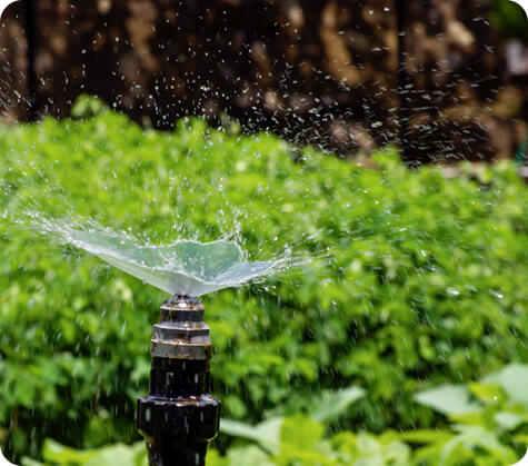#Irrigation System Check