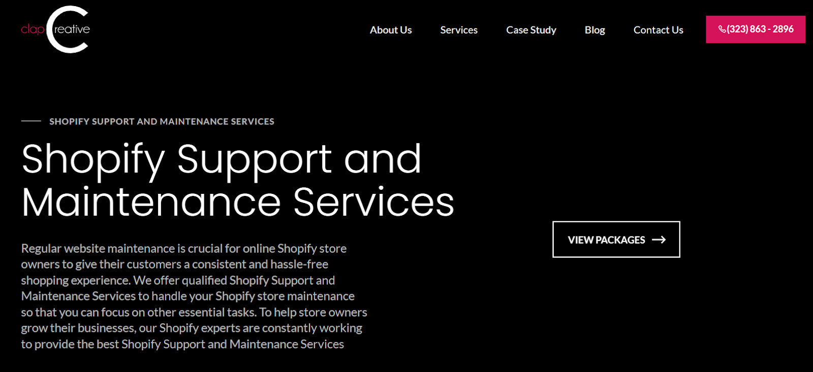 Best Shopify Maintenance Services