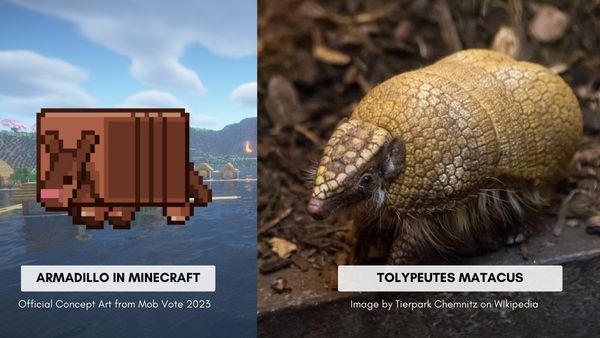 Armadillo in Minecraft 1.21: Everything You Need to Know