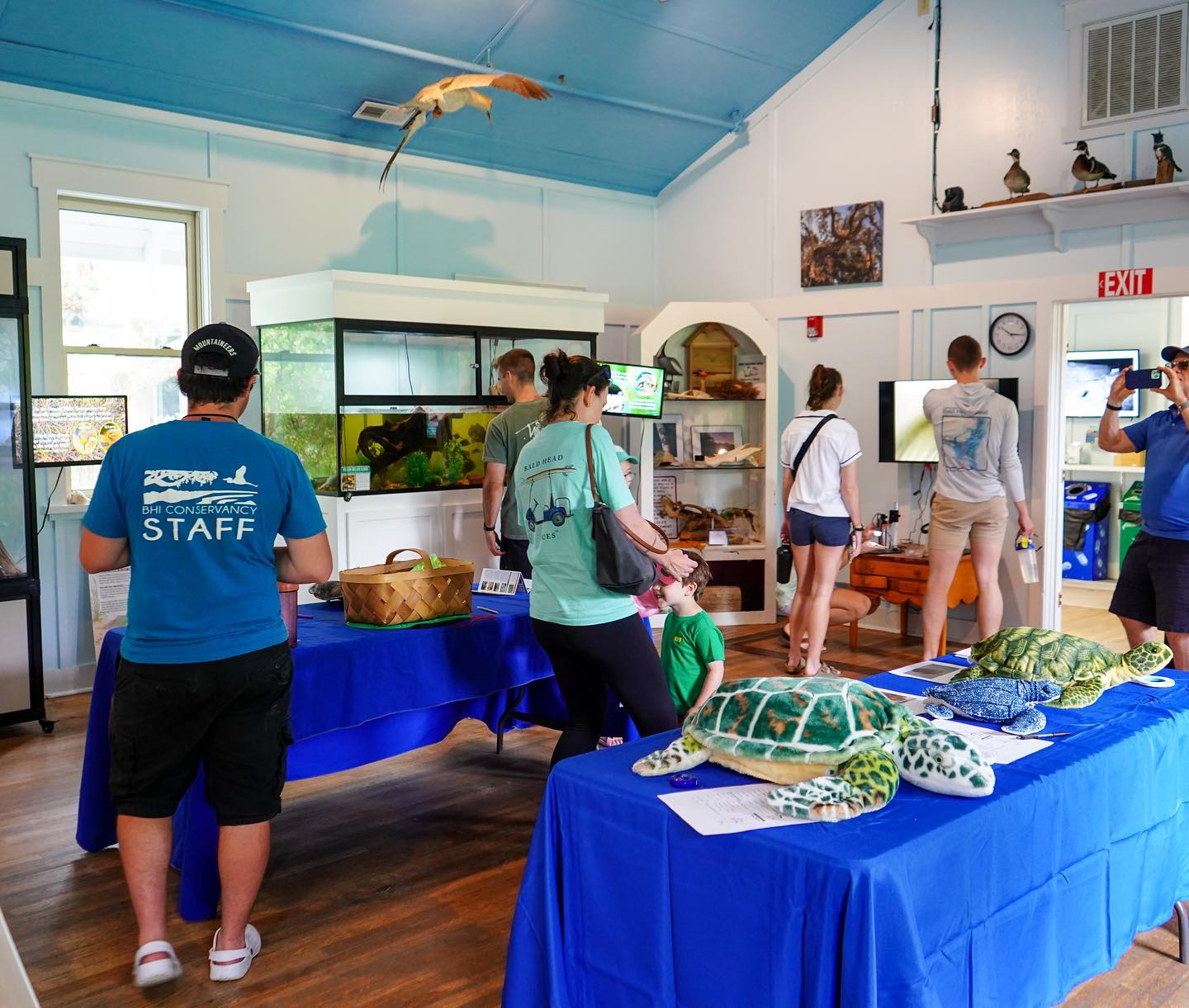 World Sea Turtle Week 2024 - Bald Head Island Conservancy