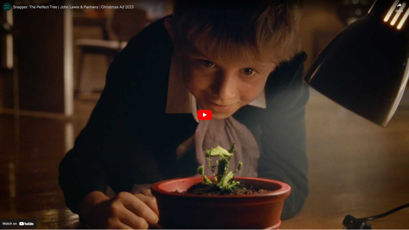 A child looking at a plantDescription automatically generated
