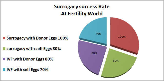 Surrogacy success rate in Ukraine