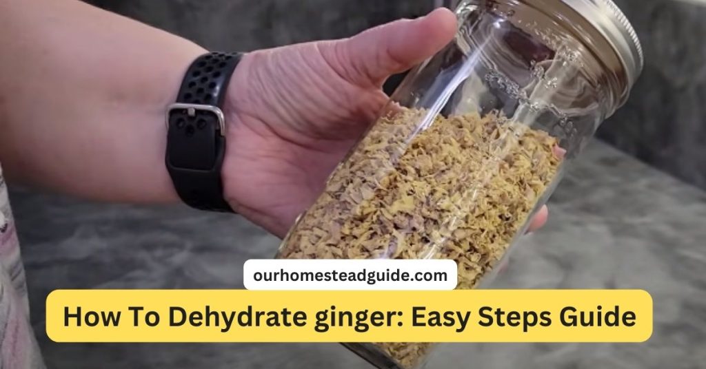 Dehydrate ginger 