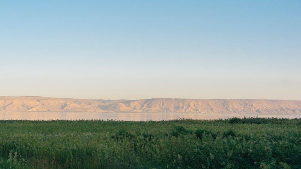 A grassy field with a body of water in the background

Description automatically generated