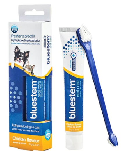 Best Toothbrush & Toothpaste Kit
