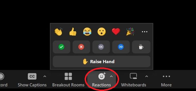 capture of Zoom menu bar with Reactions button highlighted