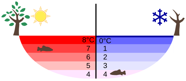 File:Anomalous expansion of water Summer Winter.svg - Wikipedia