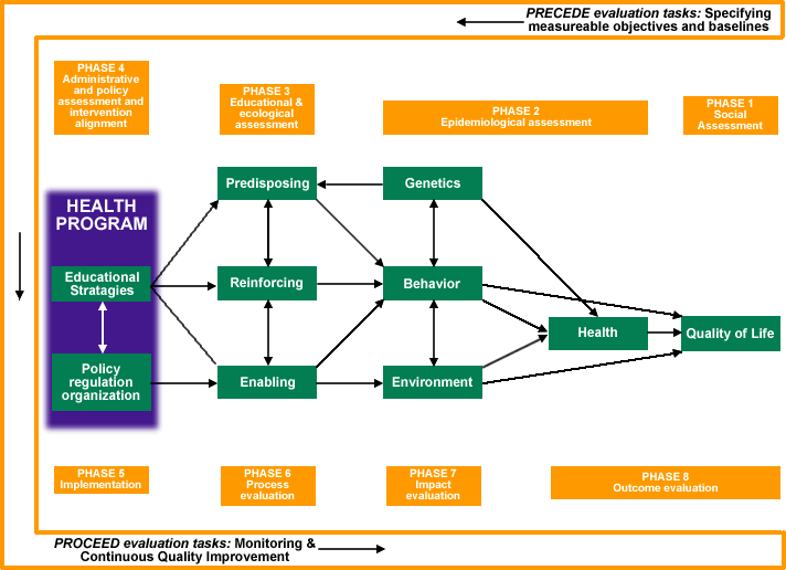 A web chart describing the precede-proceed model process. Follow the link to the appendix for a more in-depth description.