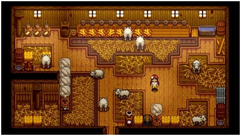 Sheep Stardew Valley