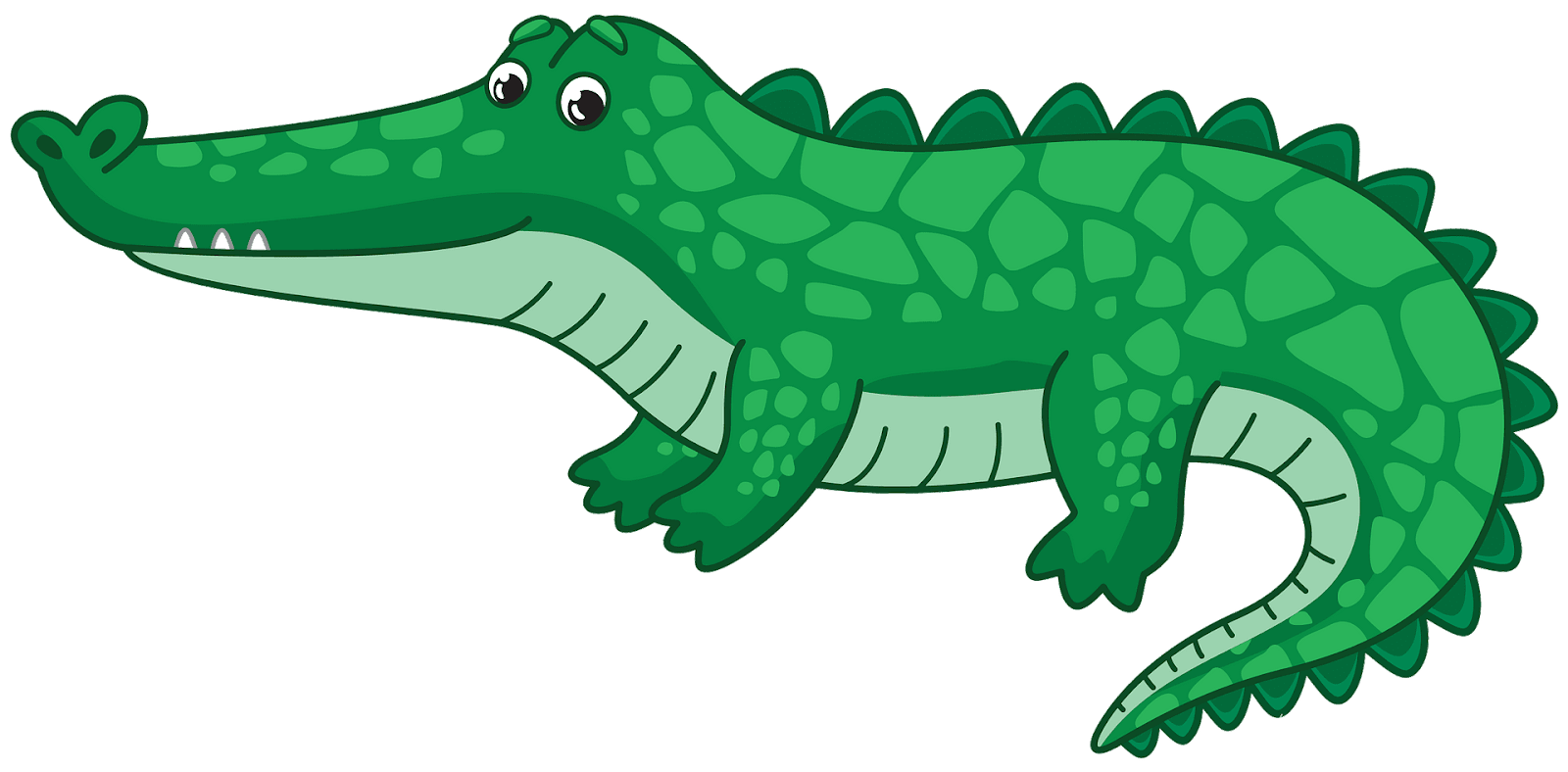 Alligator clipart