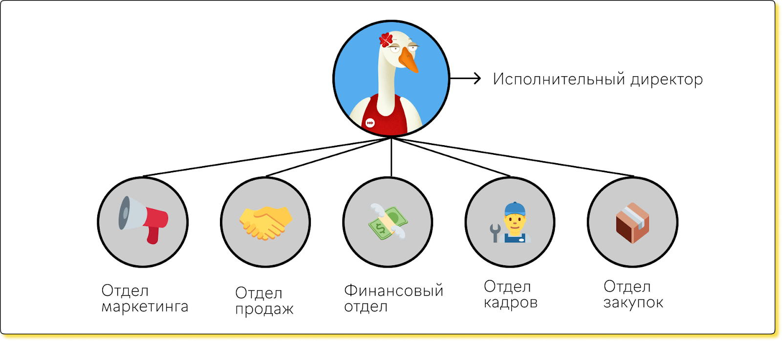 Исполнительный директор: кто это, что делает и как связан с финслужбой |  Нескучная газета