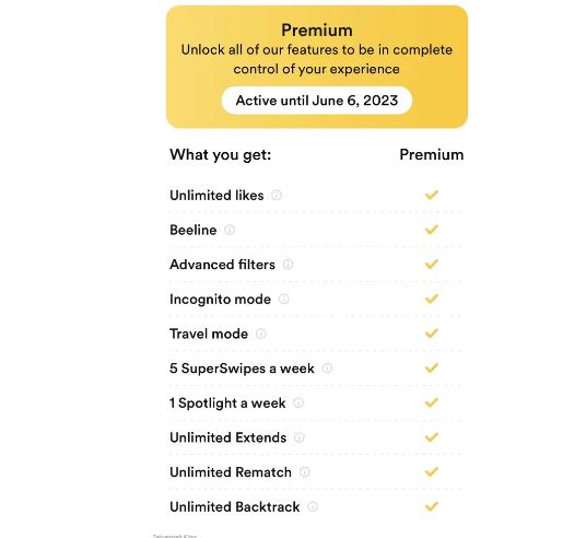 Features of Bumble Premium with Paid Subscription