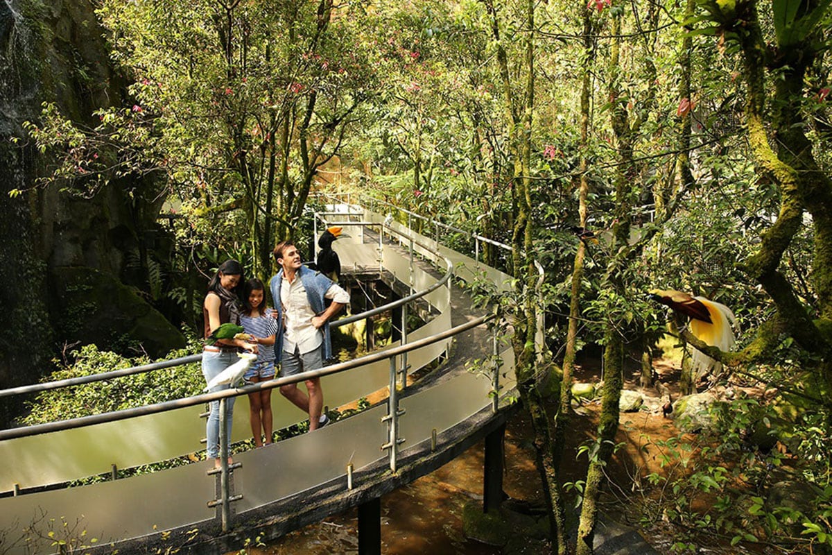 Experience The Thrills Of Nature
