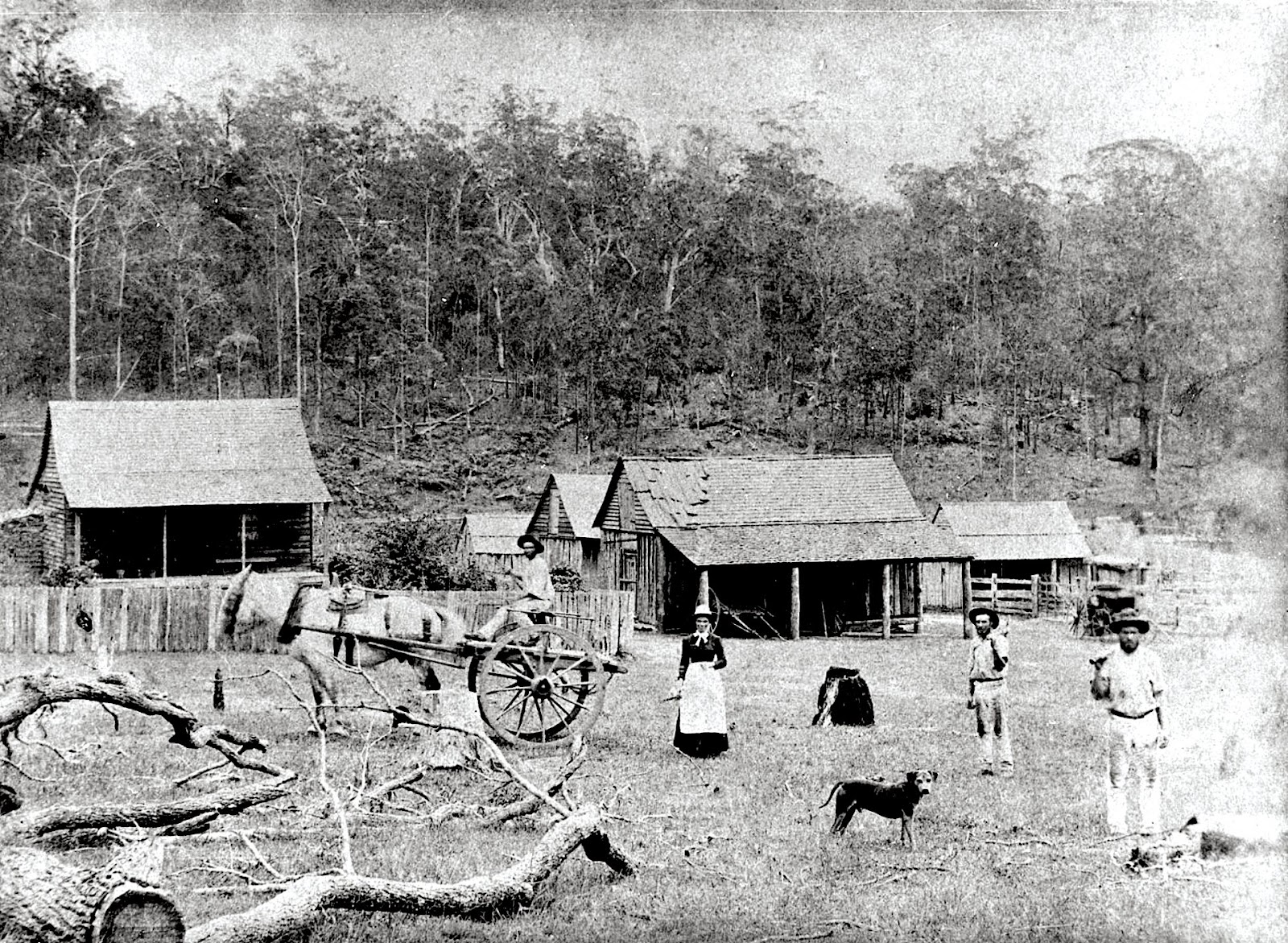 Aspley State School