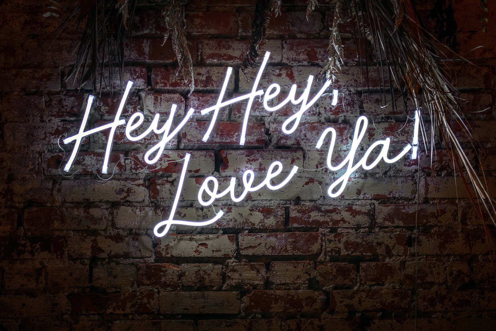 Image’s Source: Yandex