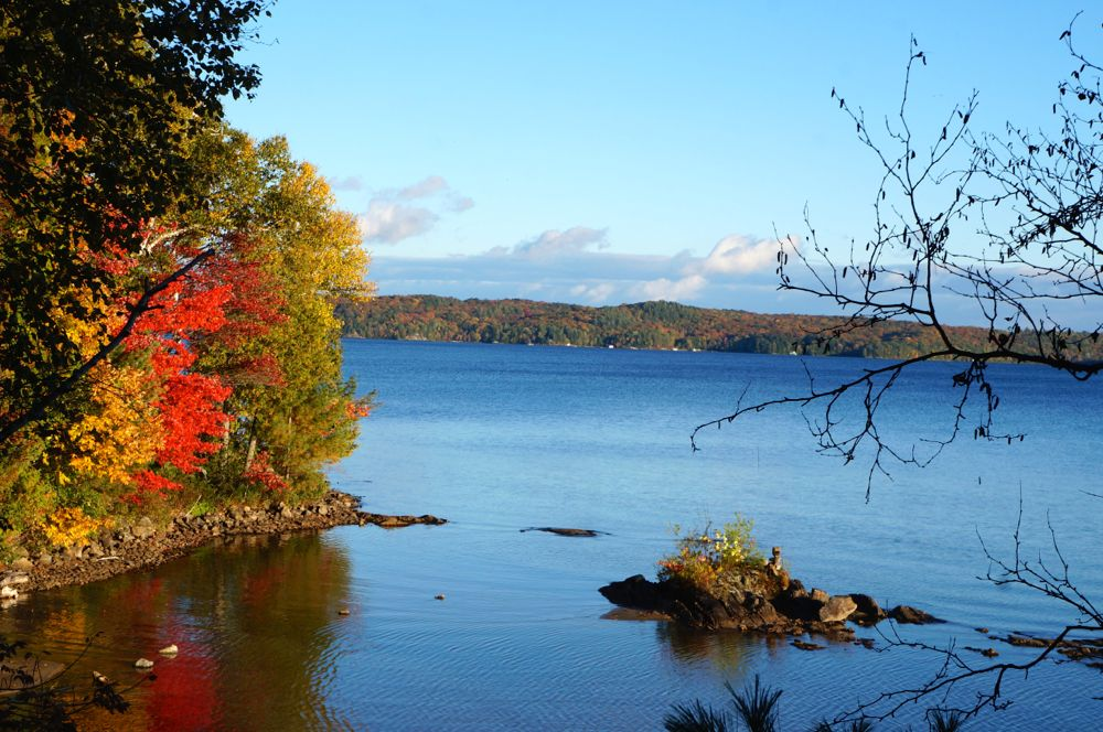 Skeleton Lake in the fall, one of the best lakes in Muskoka