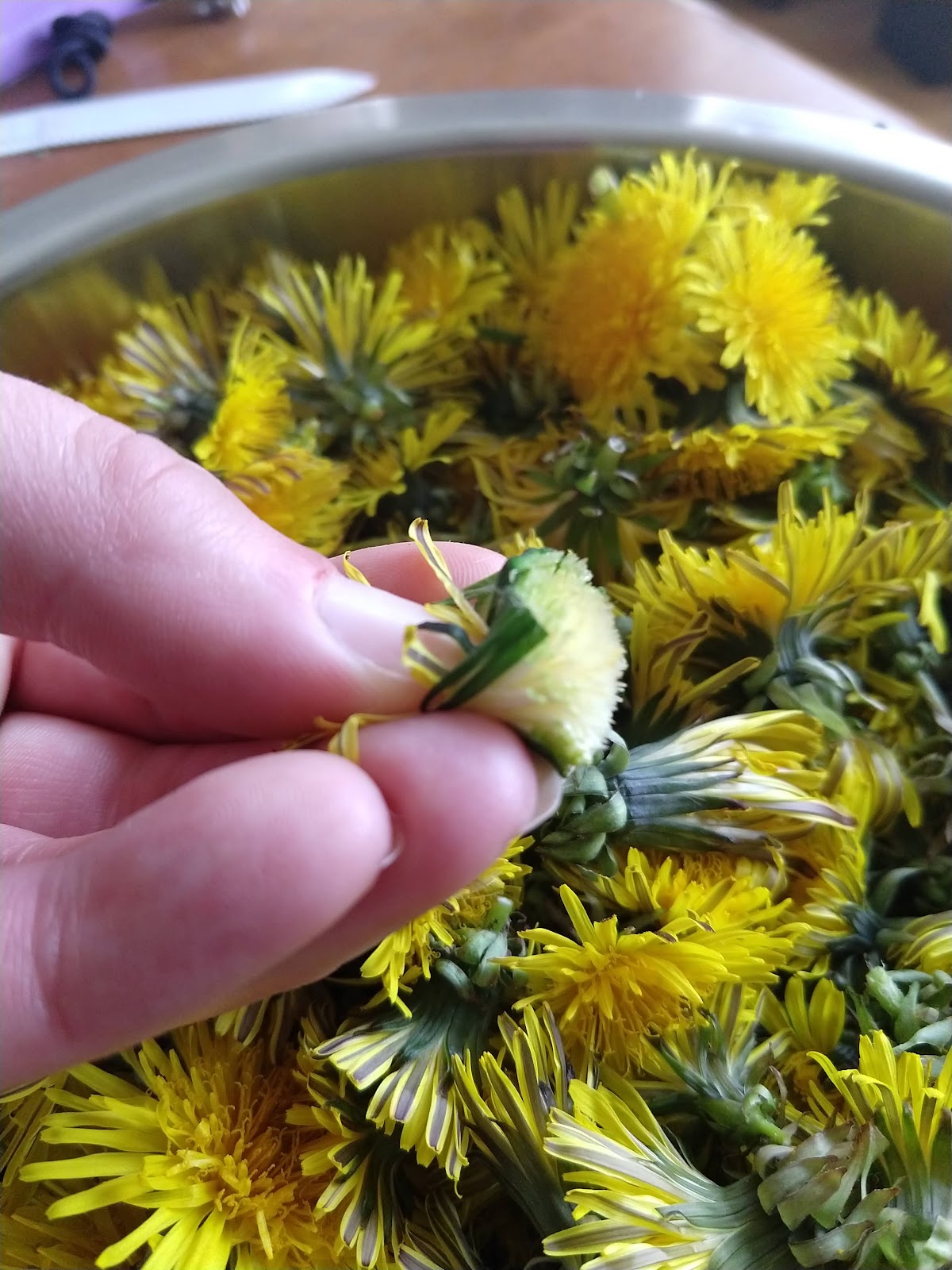 Cut-Dandelion-Blossom