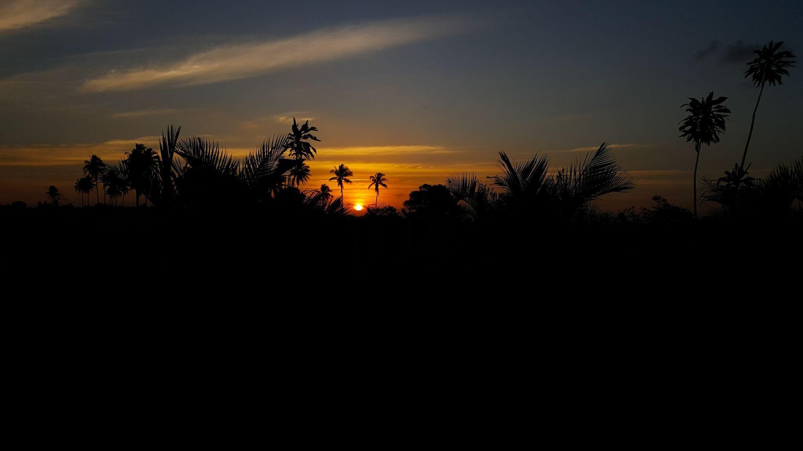 Pôr do sol em Igarassu. Diversas árvores contra a luz do sol, com sol e céu em tom alaranjado