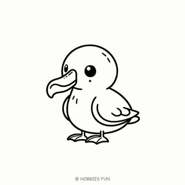 Easy Cute Albatross Drawing