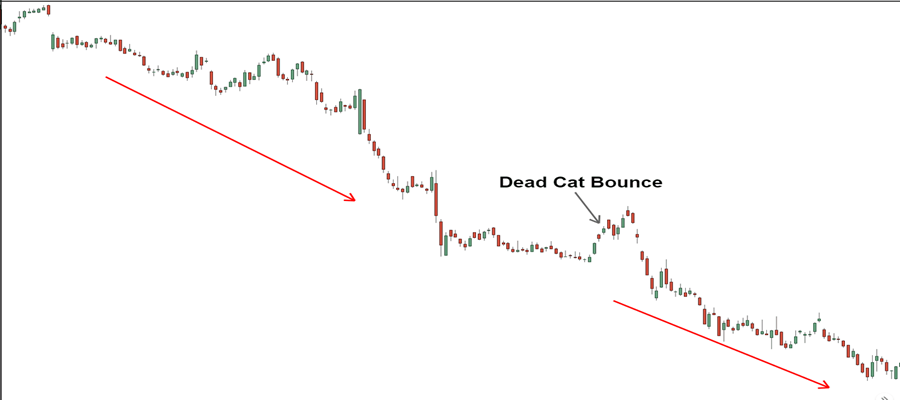 نحوه تشخیص الگوی جهش گربه مرده در نمودار