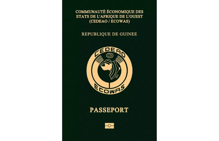 Guinea visa fee - passport