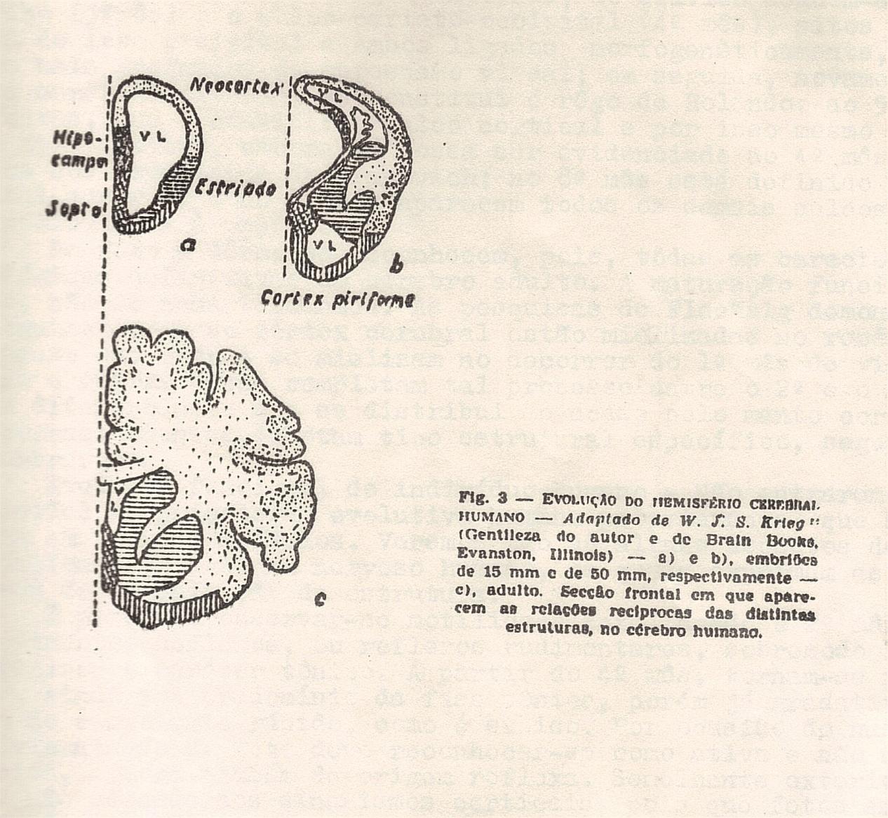 Esquema 3 - Psicologia Fisiológica.jpg