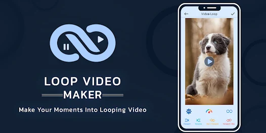 loop video gif maker app
